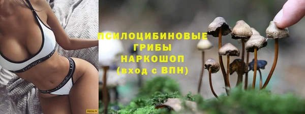 ешки Гусиноозёрск