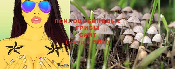 меф VHQ Горно-Алтайск